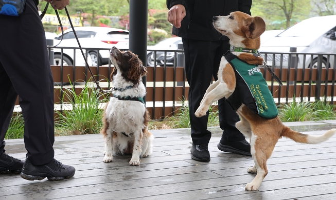 Campaign to promote adoption of retired detection dogs