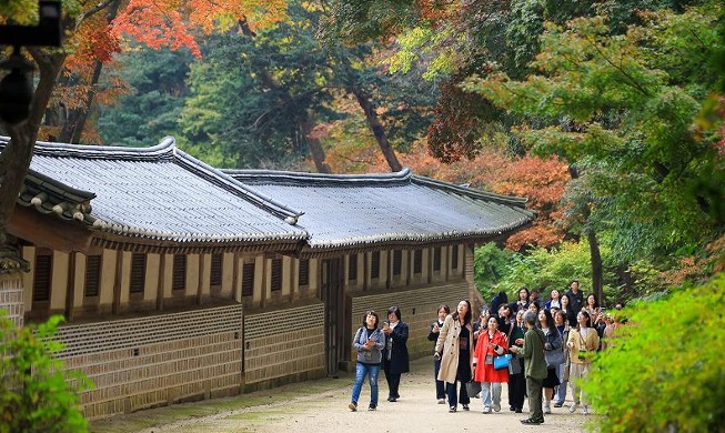 Enjoying fall mood on king's forest trail at Seoul palace