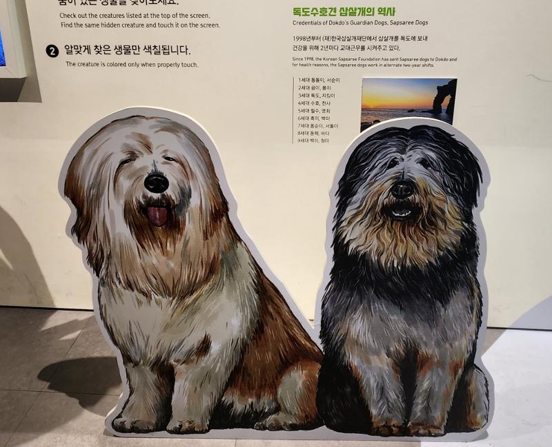 Images of sapsaree dogs displayed at Dokdo Museum Seoul